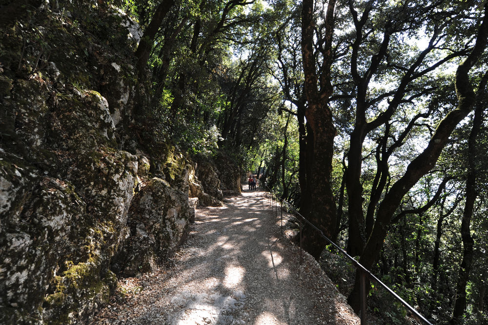 Da Assisi a Spoleto a piedi