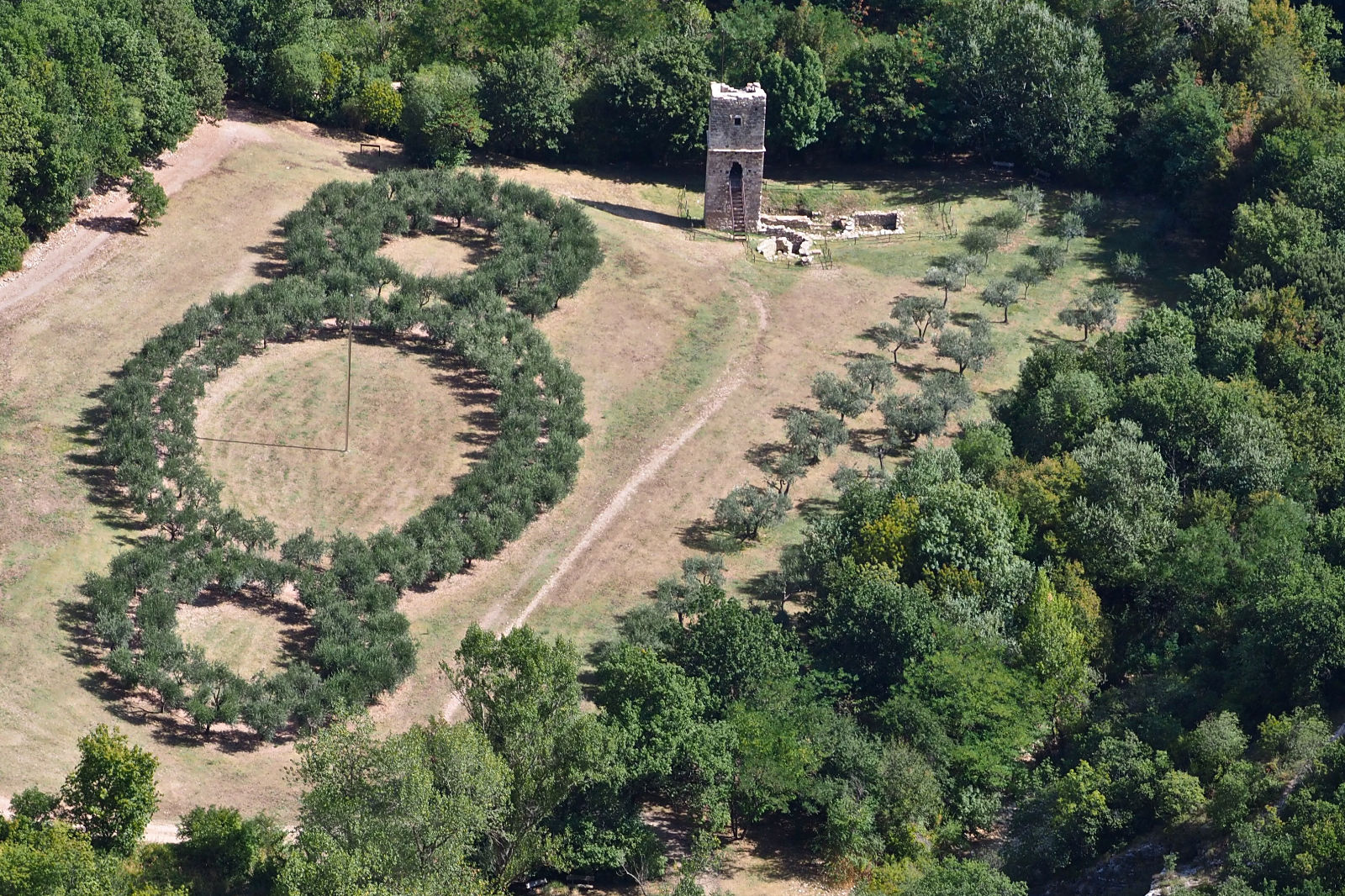 San Francesco e Assisi